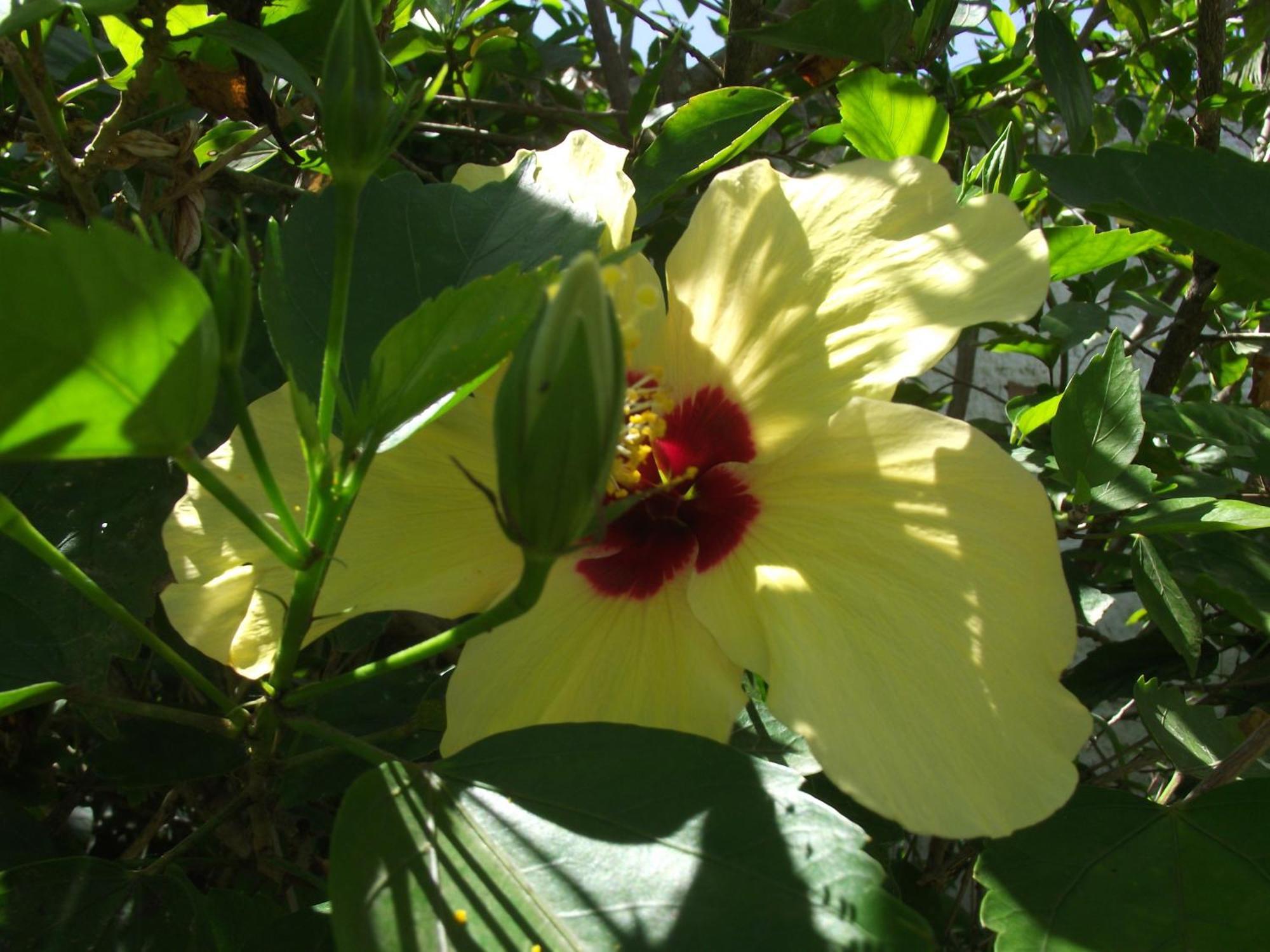 Pouzada Bom Clima - Servimos Cestas De Cafe Da Manha - Melhor Custo Beneficio Em Gravata ภายนอก รูปภาพ